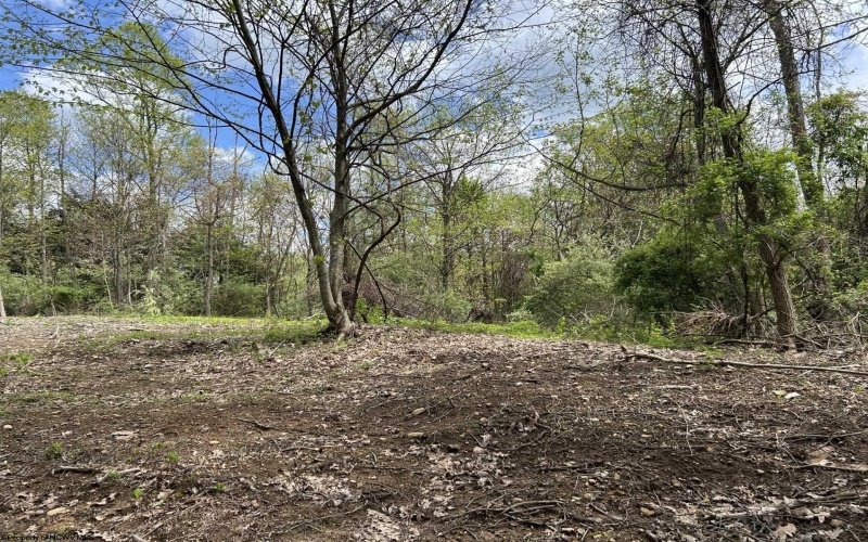 17688 Veterans Memorial Highway, Kingwood, West Virginia 26537, ,Lots/land,For Sale,Veterans Memorial,10152603