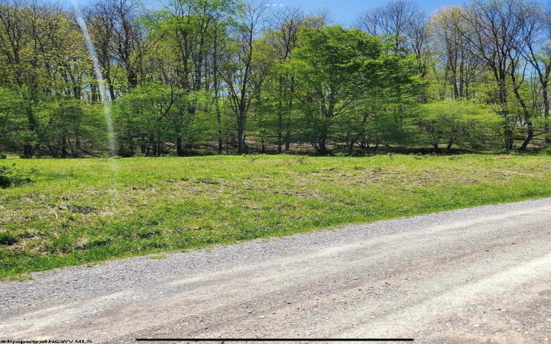 Lot 21 Hickory Flats Road, Dryfork, West Virginia 26263, ,Lots/land,For Sale,Hickory Flats,10152700