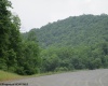 RR 219 Highway, Kerens, West Virginia 26276, ,Lots/land,For Sale,219,10152807