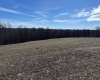 TBD B North Preston Highway Road, Bruceton Mills, West Virginia 26525, ,Lots/land,For Sale,North Preston Highway,10152942