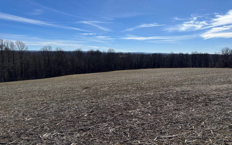 TBD B North Preston Highway Road, Bruceton Mills, West Virginia 26525, ,Lots/land,For Sale,North Preston Highway,10152942