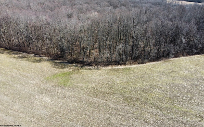 TBD B North Preston Highway Road, Bruceton Mills, West Virginia 26525, ,Lots/land,For Sale,North Preston Highway,10152942