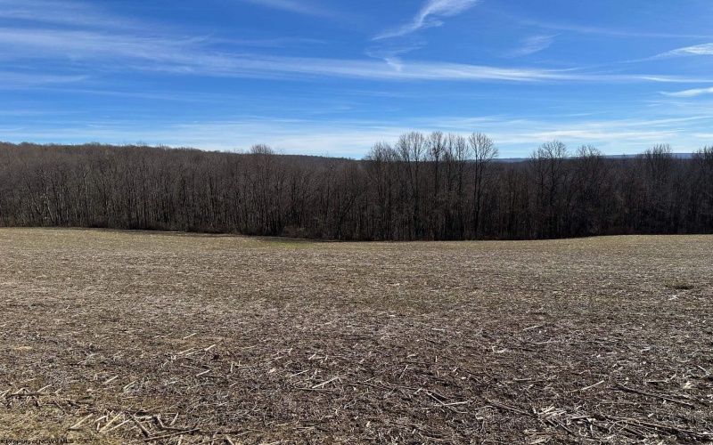 TBD B North Preston Highway Road, Bruceton Mills, West Virginia 26525, ,Lots/land,For Sale,North Preston Highway,10152942