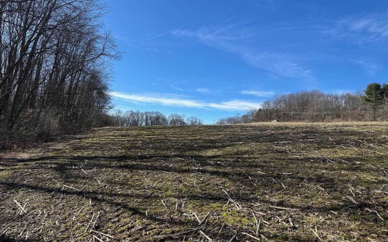 TBD A North Preston Highway Road, Bruceton Mills, West Virginia 26525, ,Lots/land,For Sale,North Preston Highway,10152943