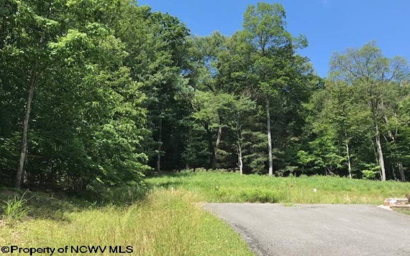 202 Sabre Court, Morgantown, West Virginia 26508, ,Lots/land,For Sale,Sabre,10153024