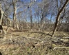 TBD Flag Run Rd Acres, Simpson, West Virginia 26435, ,Lots/land,For Sale,Flag Run Rd,10153148