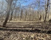 TBD Flag Run Rd Acres, Simpson, West Virginia 26435, ,Lots/land,For Sale,Flag Run Rd,10153148