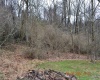 Lot 48 Poplar Street, Jane Lew, West Virginia 26378, ,Lots/land,For Sale,Poplar,10153190