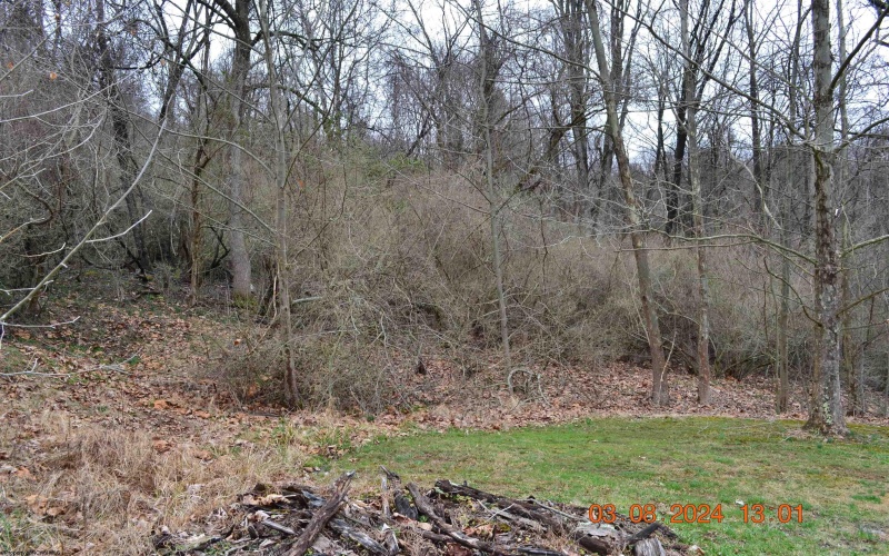 Lot 48 Poplar Street, Jane Lew, West Virginia 26378, ,Lots/land,For Sale,Poplar,10153190