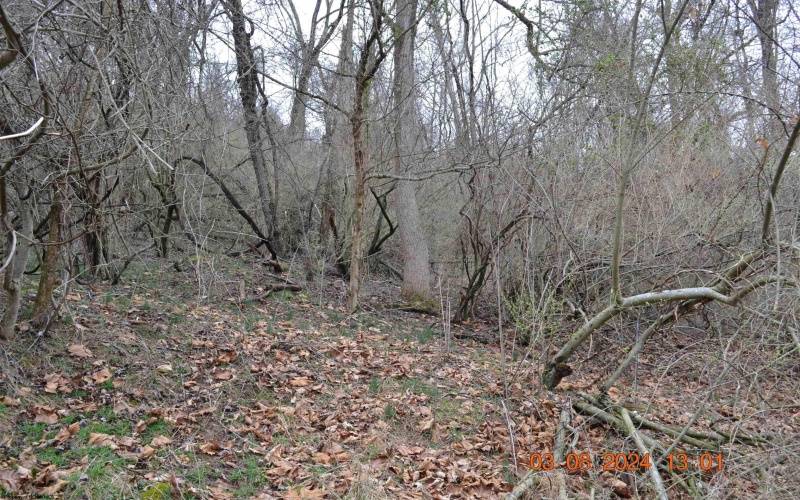 Lot 48 Poplar Street, Jane Lew, West Virginia 26378, ,Lots/land,For Sale,Poplar,10153190