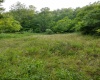 TBD Freeland Road, Terra Alta, West Virginia 26764, ,Lots/land,For Sale,Freeland,10149532