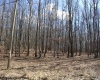 Lot 7 Sand Bank Heights Road, Masontown, West Virginia 26542, ,Lots/land,For Sale,Sand Bank Heights,10153293