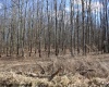 Lot 7 Sand Bank Heights Road, Masontown, West Virginia 26542, ,Lots/land,For Sale,Sand Bank Heights,10153293