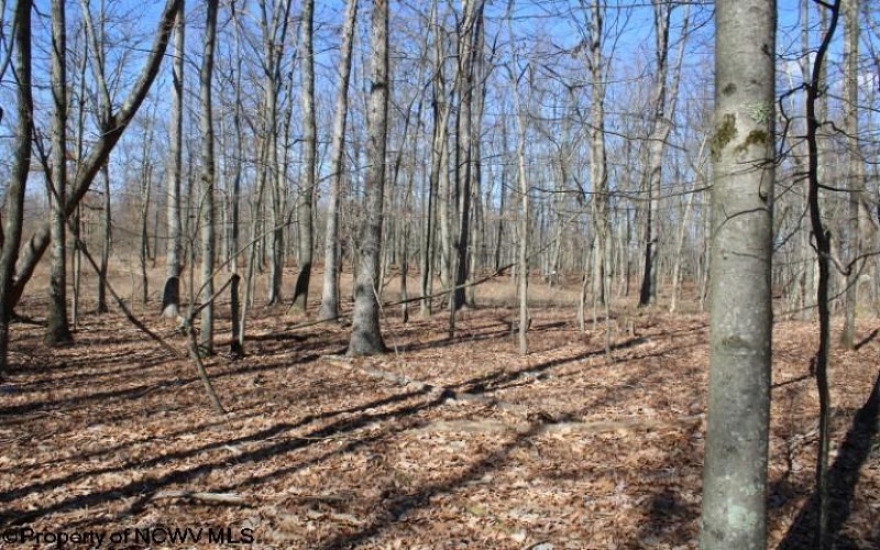 Lot 7 Sand Bank Heights Road, Masontown, West Virginia 26542, ,Lots/land,For Sale,Sand Bank Heights,10153293