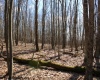 Lot 7 Sand Bank Heights Road, Masontown, West Virginia 26542, ,Lots/land,For Sale,Sand Bank Heights,10153293