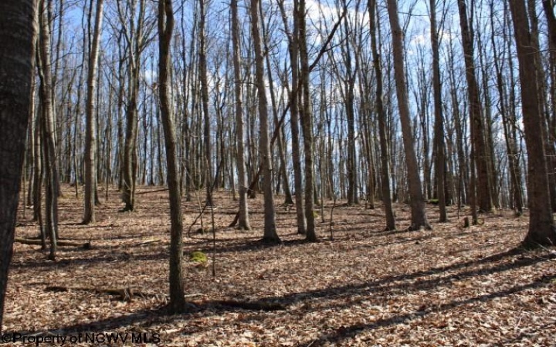 Lot 7 Sand Bank Heights Road, Masontown, West Virginia 26542, ,Lots/land,For Sale,Sand Bank Heights,10153293