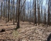 Lot 7 Sand Bank Heights Road, Masontown, West Virginia 26542, ,Lots/land,For Sale,Sand Bank Heights,10153293