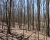 Lot 7 Sand Bank Heights Road, Masontown, West Virginia 26542, ,Lots/land,For Sale,Sand Bank Heights,10153293