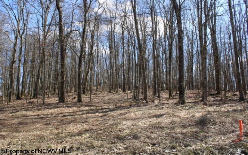 Lot 6 Sand Bank Heights Road, Masontown, West Virginia 26542, ,Lots/land,For Sale,Sand Bank Heights,10153294