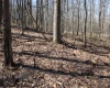 Lot 6 Sand Bank Heights Road, Masontown, West Virginia 26542, ,Lots/land,For Sale,Sand Bank Heights,10153294