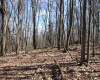 Lot 6 Sand Bank Heights Road, Masontown, West Virginia 26542, ,Lots/land,For Sale,Sand Bank Heights,10153294