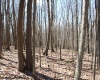 Lot 6 Sand Bank Heights Road, Masontown, West Virginia 26542, ,Lots/land,For Sale,Sand Bank Heights,10153294