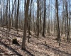 Lot 6 Sand Bank Heights Road, Masontown, West Virginia 26542, ,Lots/land,For Sale,Sand Bank Heights,10153294