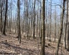 Lot 6 Sand Bank Heights Road, Masontown, West Virginia 26542, ,Lots/land,For Sale,Sand Bank Heights,10153294