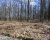 Lot 6 Sand Bank Heights Road, Masontown, West Virginia 26542, ,Lots/land,For Sale,Sand Bank Heights,10153294