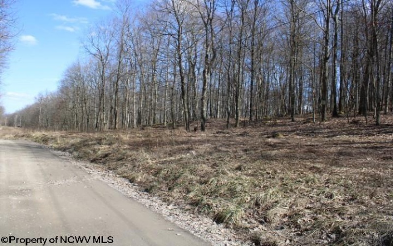 Lot 6 Sand Bank Heights Road, Masontown, West Virginia 26542, ,Lots/land,For Sale,Sand Bank Heights,10153294