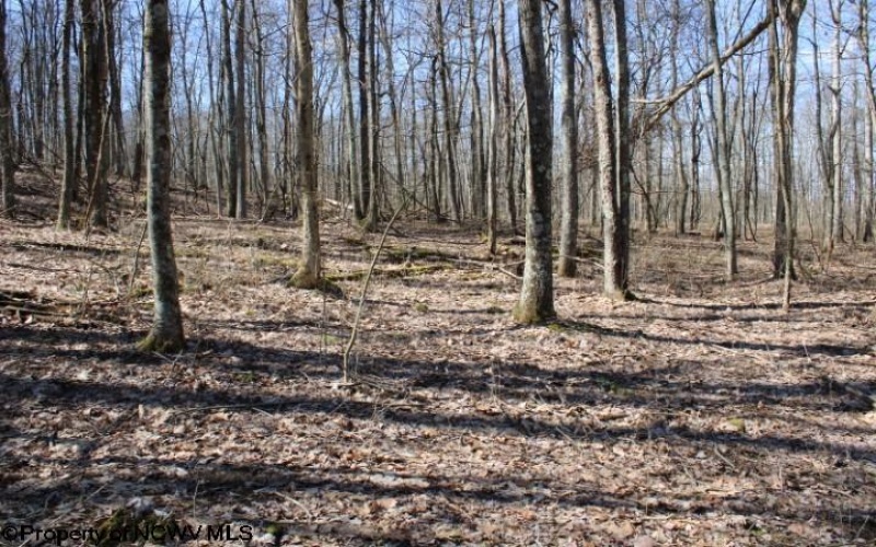 Lot 5 Sand Bank Heights Road, Masontown, West Virginia 26542, ,Lots/land,For Sale,Sand Bank Heights,10153295