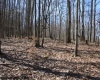 Lot 5 Sand Bank Heights Road, Masontown, West Virginia 26542, ,Lots/land,For Sale,Sand Bank Heights,10153295