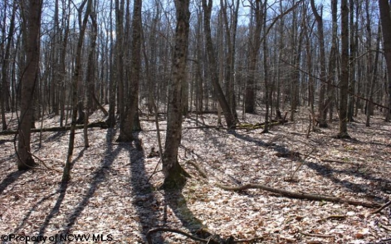 Lot 5 Sand Bank Heights Road, Masontown, West Virginia 26542, ,Lots/land,For Sale,Sand Bank Heights,10153295