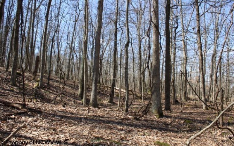 Lot 5 Sand Bank Heights Road, Masontown, West Virginia 26542, ,Lots/land,For Sale,Sand Bank Heights,10153295