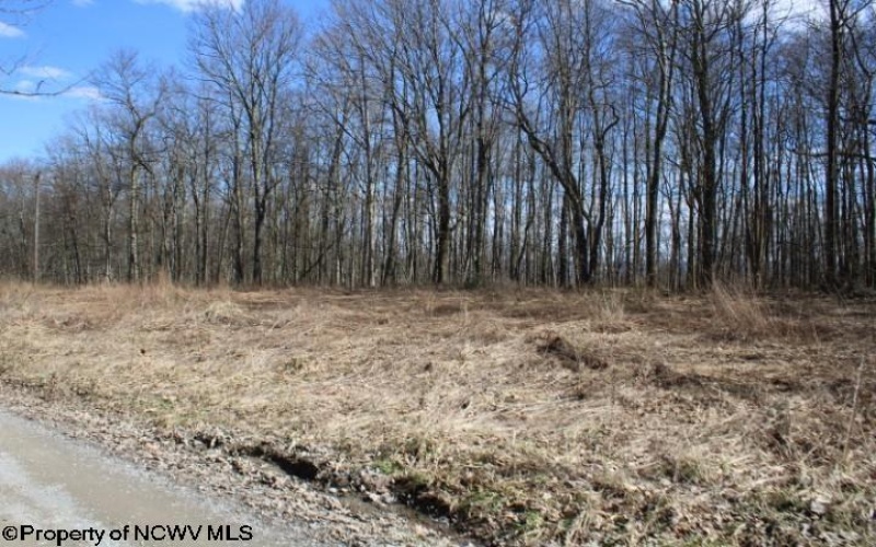 Lot 5 Sand Bank Heights Road, Masontown, West Virginia 26542, ,Lots/land,For Sale,Sand Bank Heights,10153295