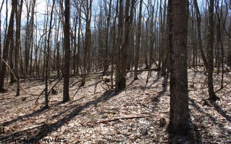 Lot 5 Sand Bank Heights Road, Masontown, West Virginia 26542, ,Lots/land,For Sale,Sand Bank Heights,10153295