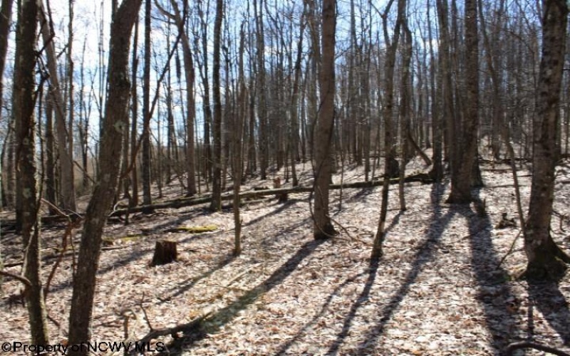 Lot 5 Sand Bank Heights Road, Masontown, West Virginia 26542, ,Lots/land,For Sale,Sand Bank Heights,10153295