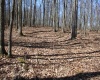 Lot 4 Sand Bank Heights Road, Masontown, West Virginia 26542, ,Lots/land,For Sale,Sand Bank Heights,10153296