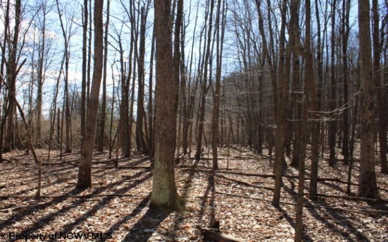 Lot 4 Sand Bank Heights Road, Masontown, West Virginia 26542, ,Lots/land,For Sale,Sand Bank Heights,10153296