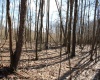 Lot 4 Sand Bank Heights Road, Masontown, West Virginia 26542, ,Lots/land,For Sale,Sand Bank Heights,10153296