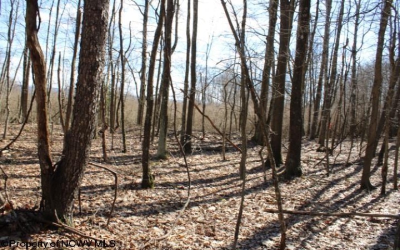 Lot 4 Sand Bank Heights Road, Masontown, West Virginia 26542, ,Lots/land,For Sale,Sand Bank Heights,10153296