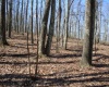 Lot 4 Sand Bank Heights Road, Masontown, West Virginia 26542, ,Lots/land,For Sale,Sand Bank Heights,10153296