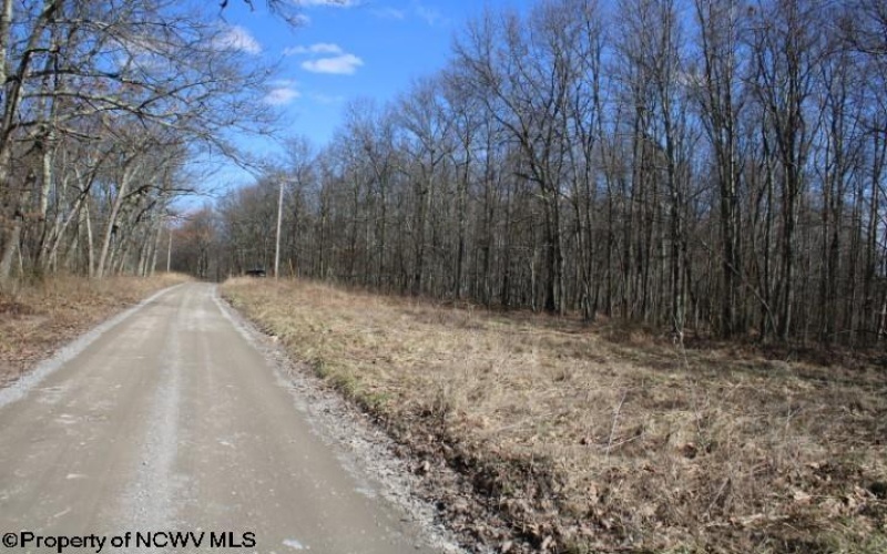 Lot 4 Sand Bank Heights Road, Masontown, West Virginia 26542, ,Lots/land,For Sale,Sand Bank Heights,10153296