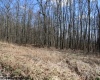 Lot 4 Sand Bank Heights Road, Masontown, West Virginia 26542, ,Lots/land,For Sale,Sand Bank Heights,10153296