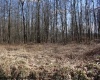 Lot 4 Sand Bank Heights Road, Masontown, West Virginia 26542, ,Lots/land,For Sale,Sand Bank Heights,10153296