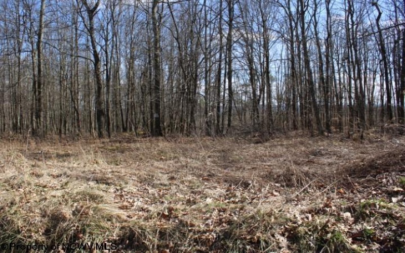 Lot 4 Sand Bank Heights Road, Masontown, West Virginia 26542, ,Lots/land,For Sale,Sand Bank Heights,10153296