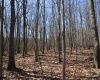 Lot 3 Sand Bank Heights Road, Masontown, West Virginia 26542, ,Lots/land,For Sale,Sand Bank Heights,10153297