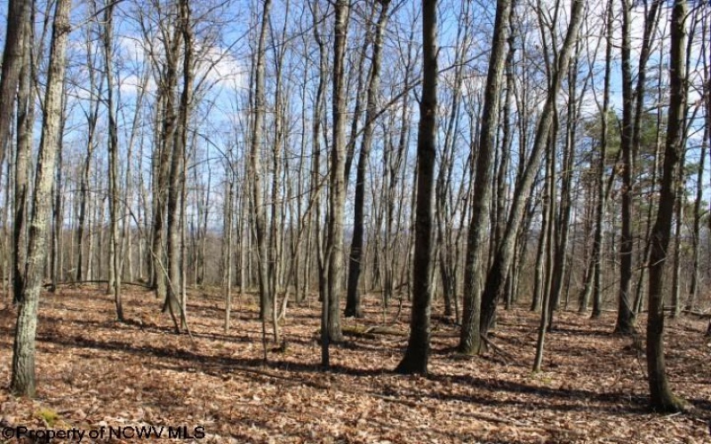 Lot 3 Sand Bank Heights Road, Masontown, West Virginia 26542, ,Lots/land,For Sale,Sand Bank Heights,10153297