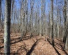 Lot 3 Sand Bank Heights Road, Masontown, West Virginia 26542, ,Lots/land,For Sale,Sand Bank Heights,10153297