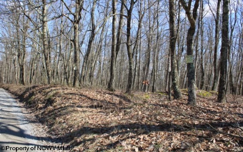 Lot 3 Sand Bank Heights Road, Masontown, West Virginia 26542, ,Lots/land,For Sale,Sand Bank Heights,10153297